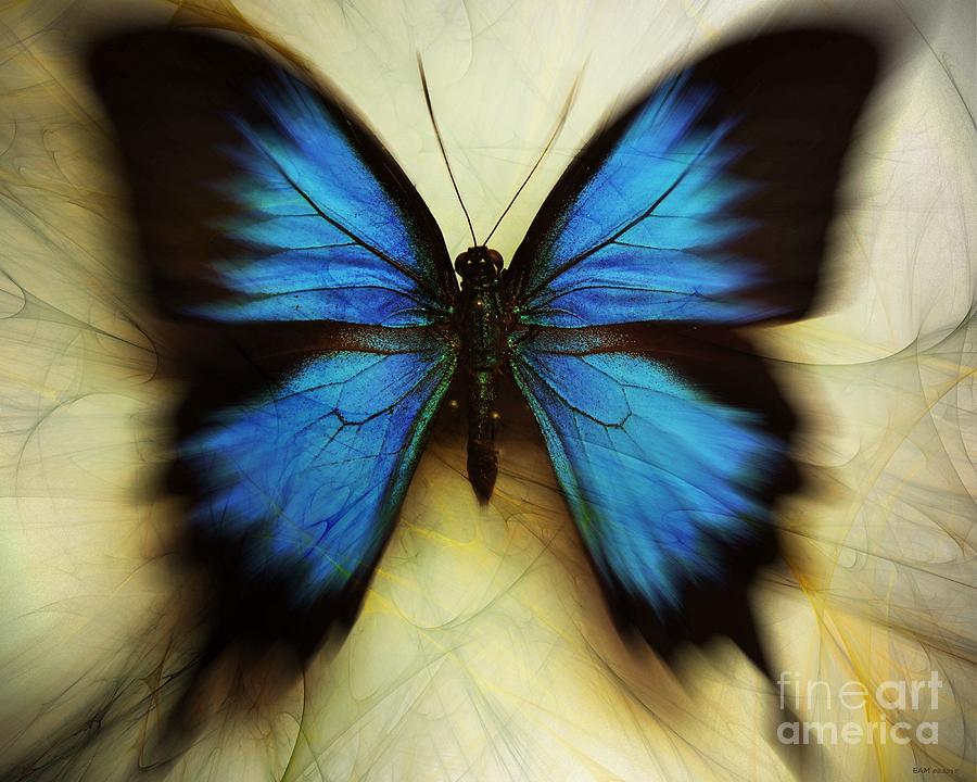 Sketchy Butterfly Digital Art by Elizabeth McTaggart
