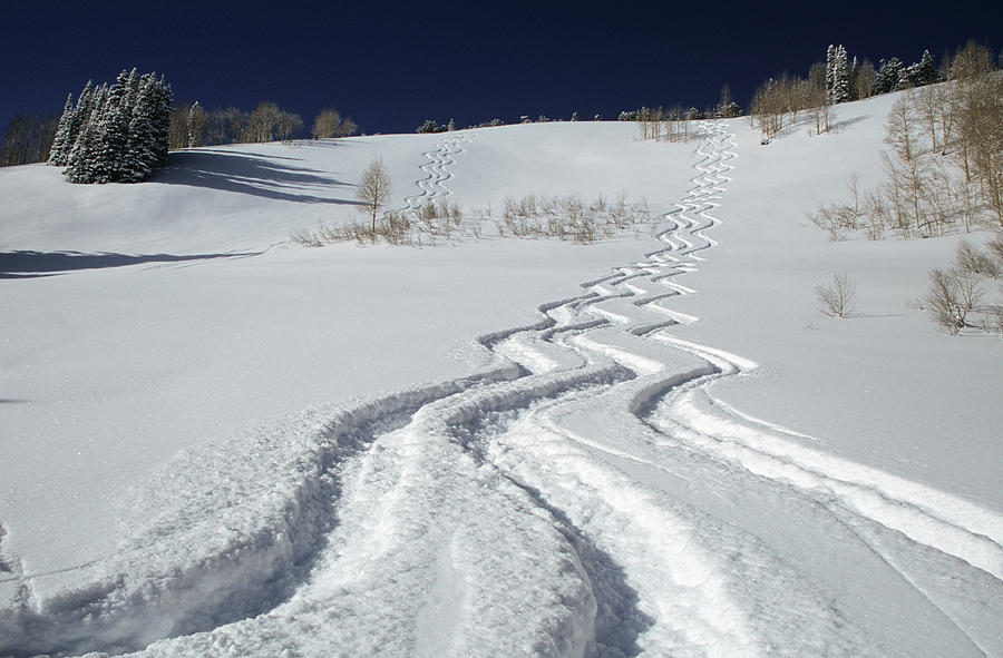 Adventure Photograph - Ski Tracks In Big Cottonwood Canyon by Howie Garber