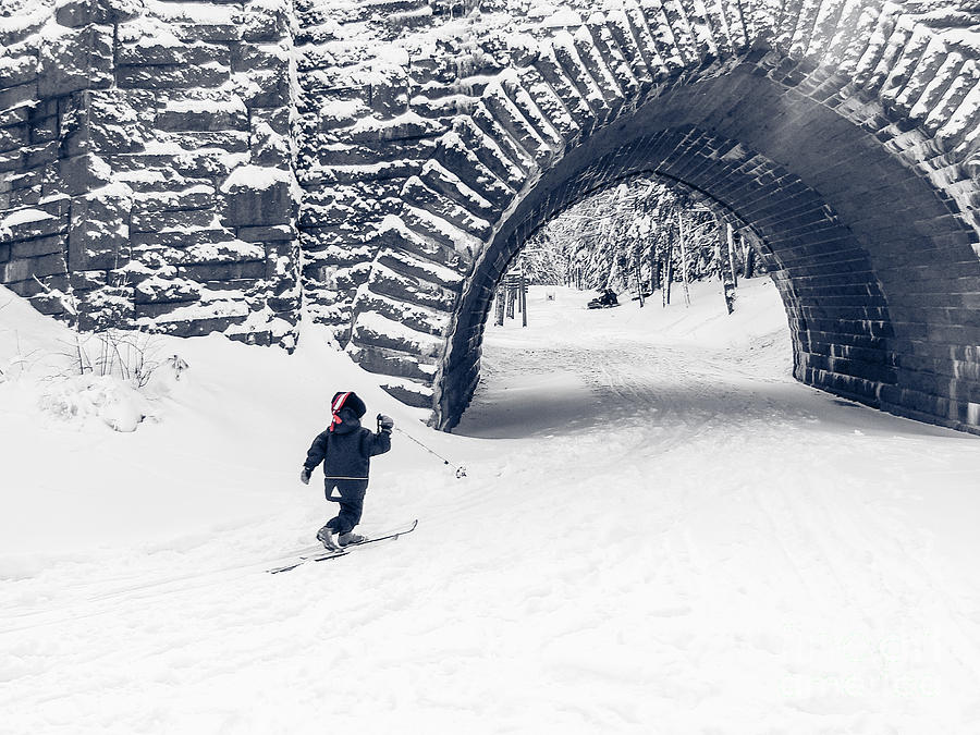 Skiing in Acadia National Park Photograph by Edward Fielding