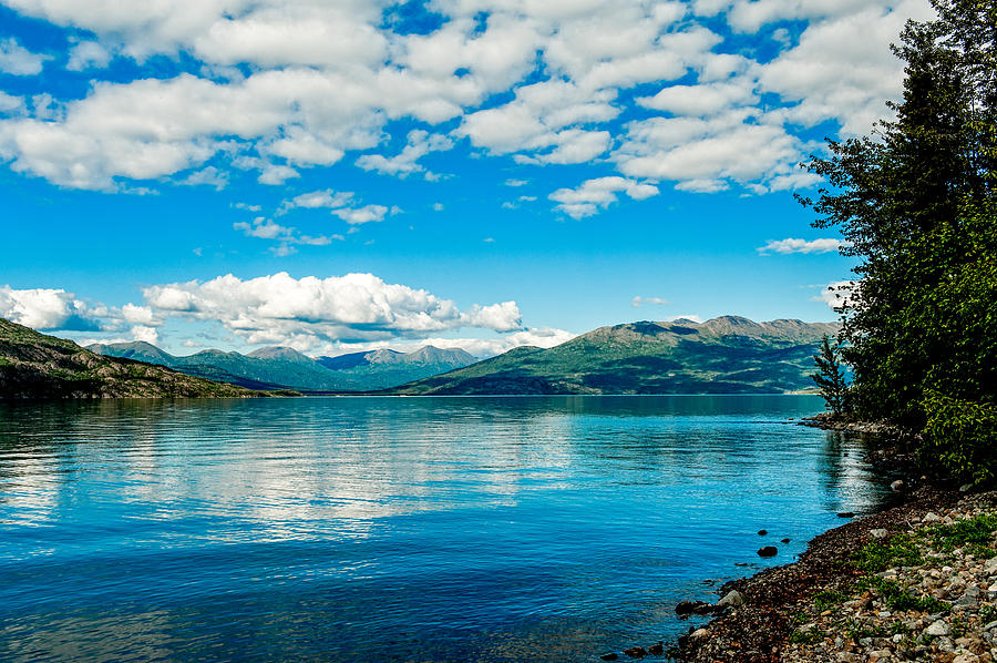 Blue Sky Photograph - Skilak Lake Alaska by George Buxbaum
