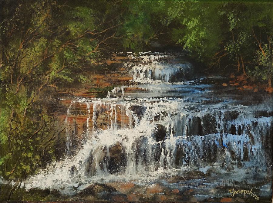 Skillet Creek Falls Wisconsin Painting by Tom Shropshire