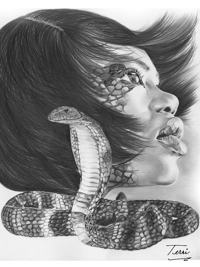 Snake Drawing - Skin Deep by Terri Meredith