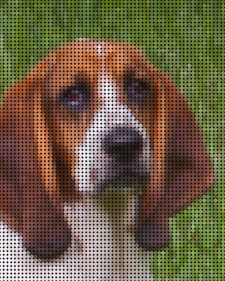 Basset Hound Photograph - Skipper the Basset by Louise Hill