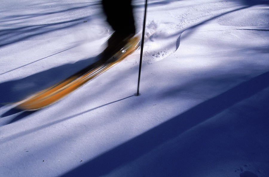 Skis In Motion Photograph by David McLain - Fine Art America