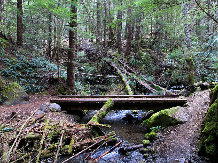 Skookum Flats Trail - Bridge Over Creek Photograph by Kathy Moll - Fine ...