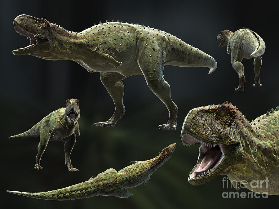 Zoology Digital Art - Skorpiovenator Bustingorryi A Genus by Rodolfo Nogueira Zoology Digital Art - Skorpiovenator Bustingorryi A Genus by Rodolfo Nogueira