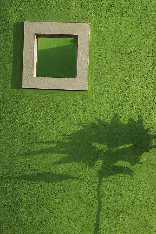 Abstract Photograph - SKC 0682 Nature in Shadow by Sunil Kapadia