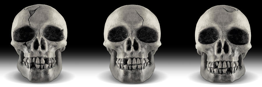 Human Skulls Photograph - Skull 4 Panoramic by Mike McGlothlen