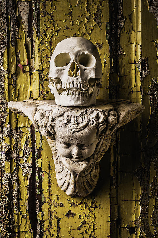 Skull And Angel Photograph by Garry Gay