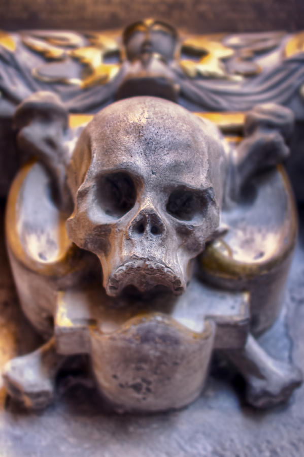 Skull and Bones Photograph by EXparte SE