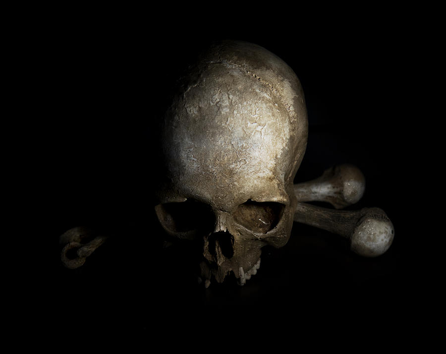 Human skull and bones Photograph by Jaroslaw Blaminsky