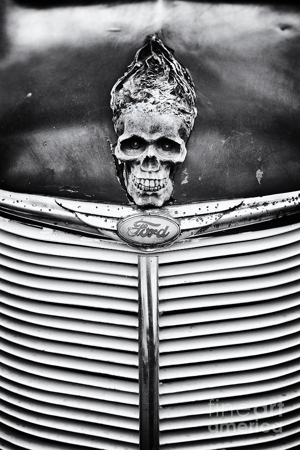 Black And White Photograph - Skull and Bones by Tim Gainey