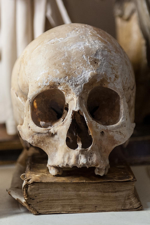 Skull and old book Photograph by Gary Eason