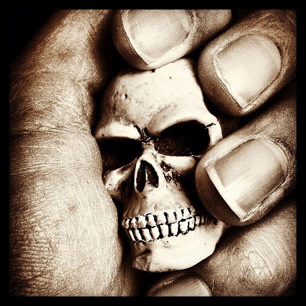 Skull Photograph - #skull by Caryn Jackson
