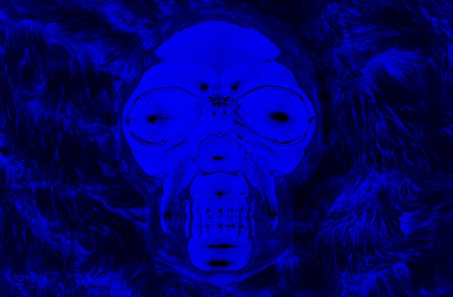 SKULL in NEGATIVE BLUE Photograph by Rob Hans