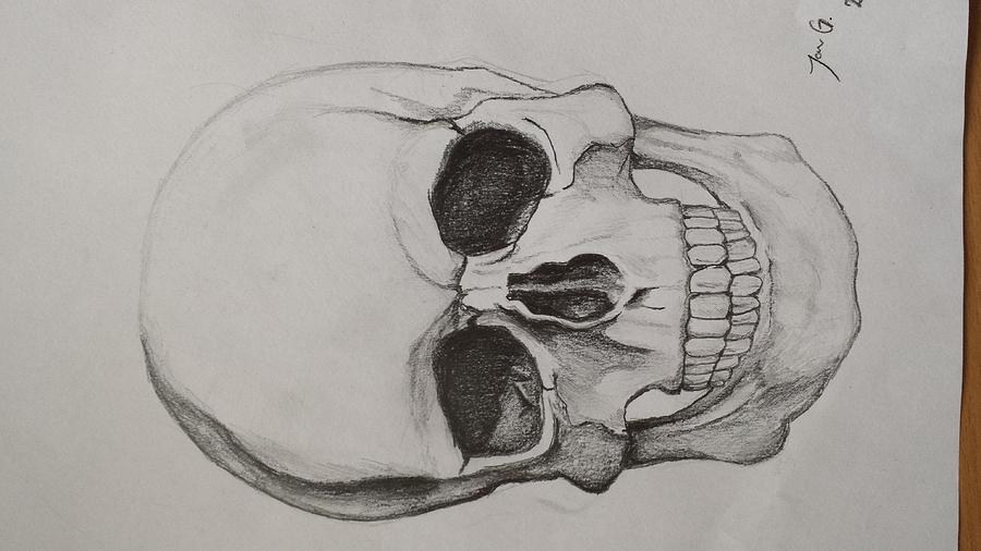 Skull Drawing - Skull by Jan Grusovnik