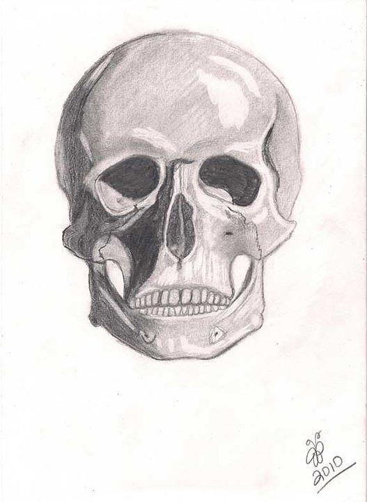 Skull Drawing - Skull by Jessica Phillips