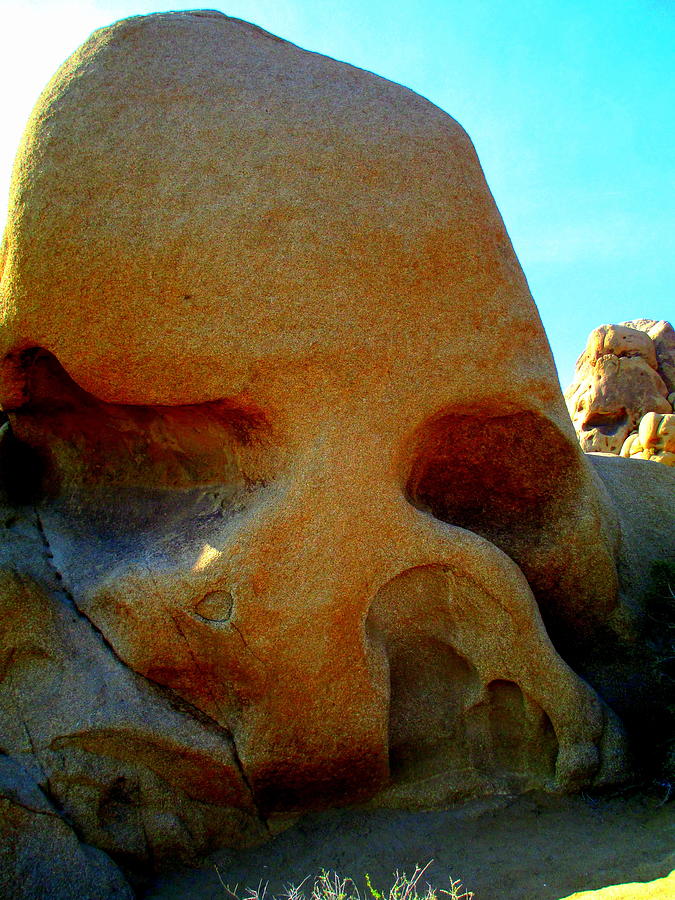 Skull Rock Joshua Tree Photograph by Randall Weidner