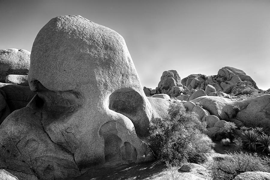 Skull Rock Photograph by Peter Tellone