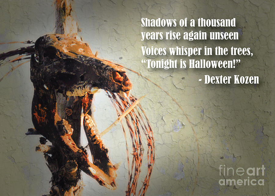 Skull Shadow Photograph by Cheryl McClure