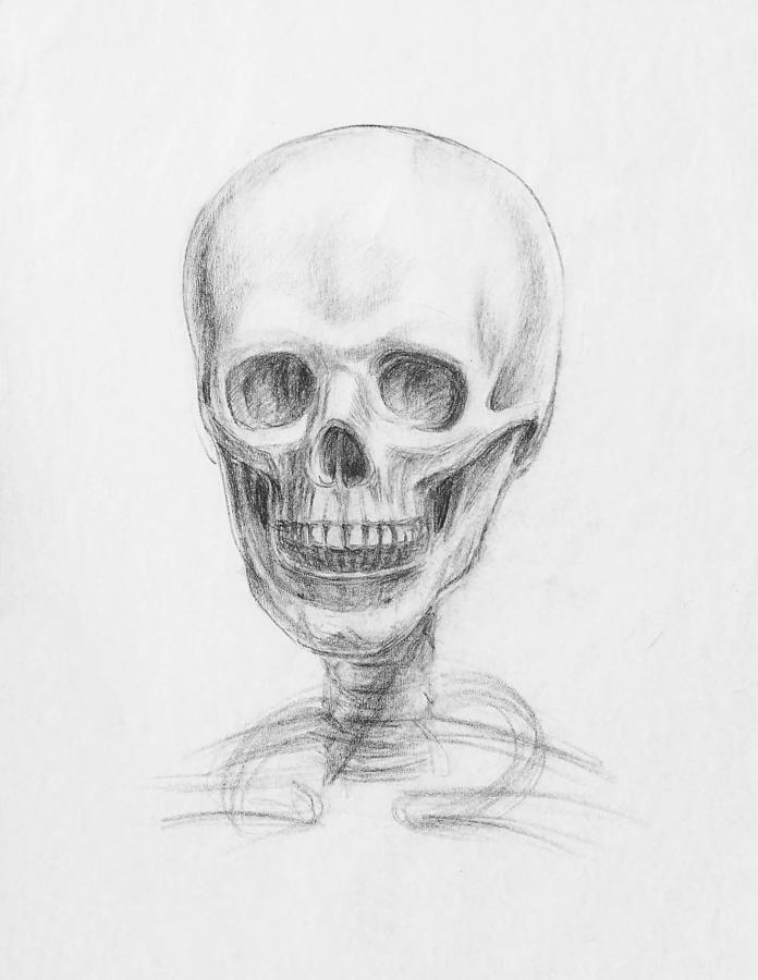 Skull Study Drawing by Irina Sztukowski