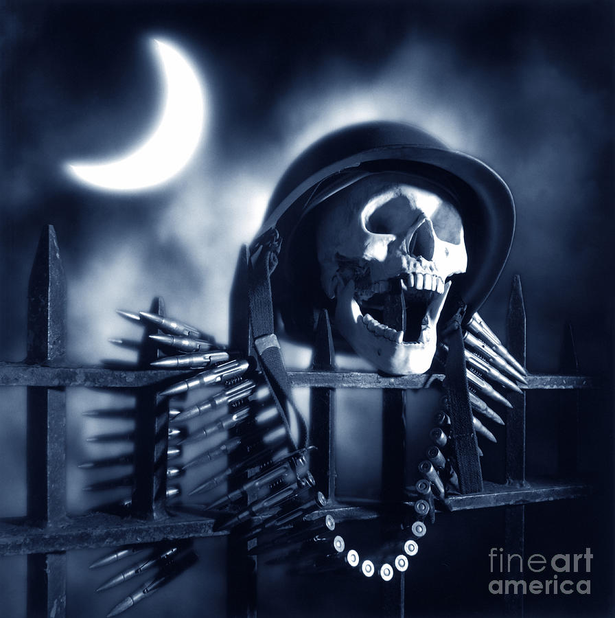 Skull Photograph by Tony Cordoza