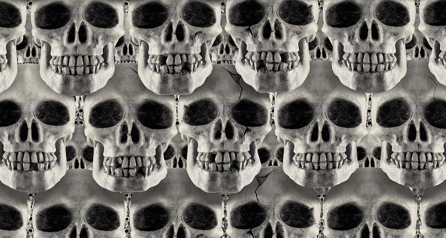 Skulls 1 Photograph by Mike McGlothlen