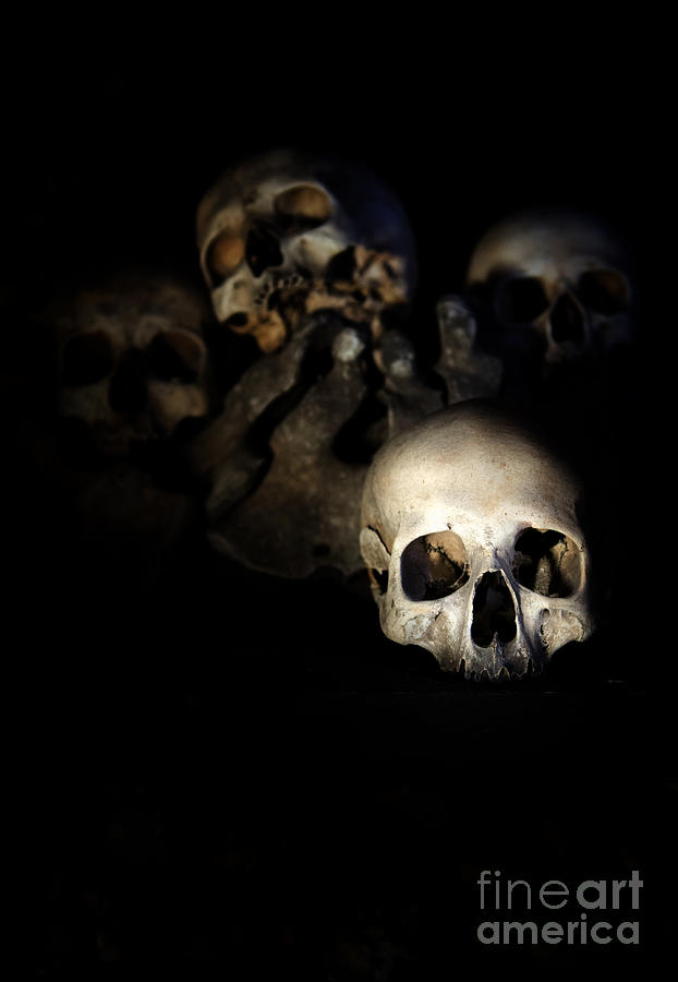Human skulls  Photograph by Jaroslaw Blaminsky