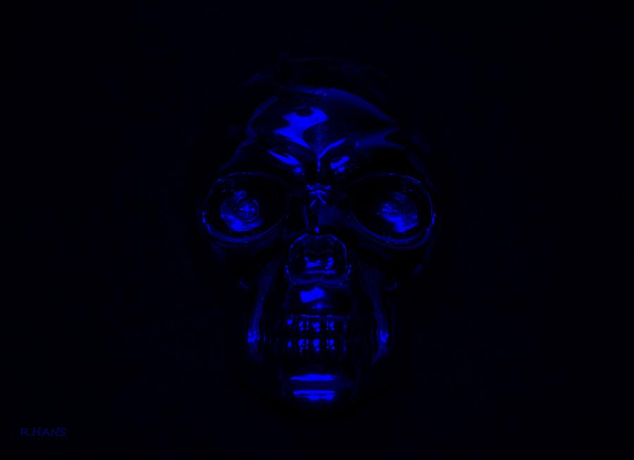 SKULLS in BLUE Photograph by Rob Hans