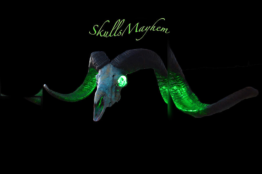 Skulls Mayhem Green Ram Photograph by Mayhem Mediums
