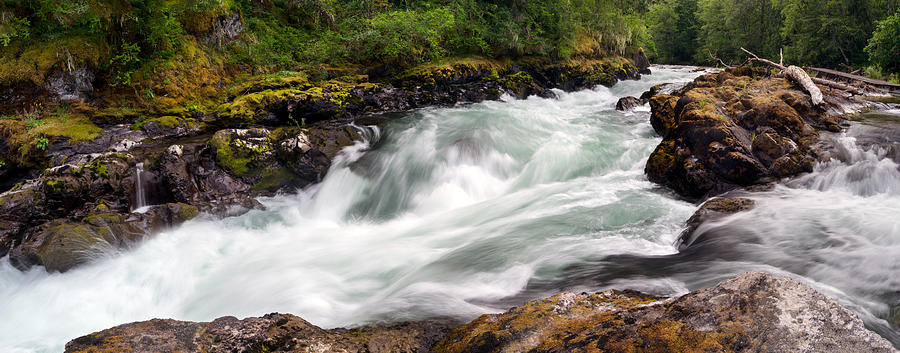 Skutz Falls on the Cowichan River Photograph by Michael Russell