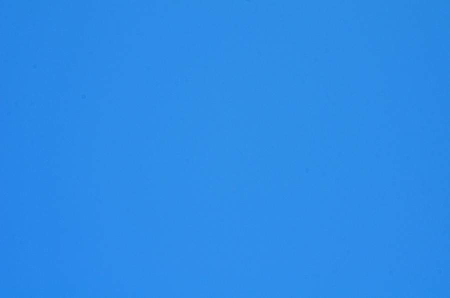 Sky Blue Photograph by Catherine Murton