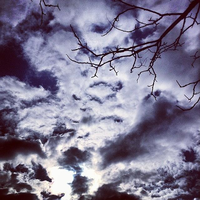 Clouds Photograph - #sky #clouds #sun #treebranch by Christopher Adamo-Rocco