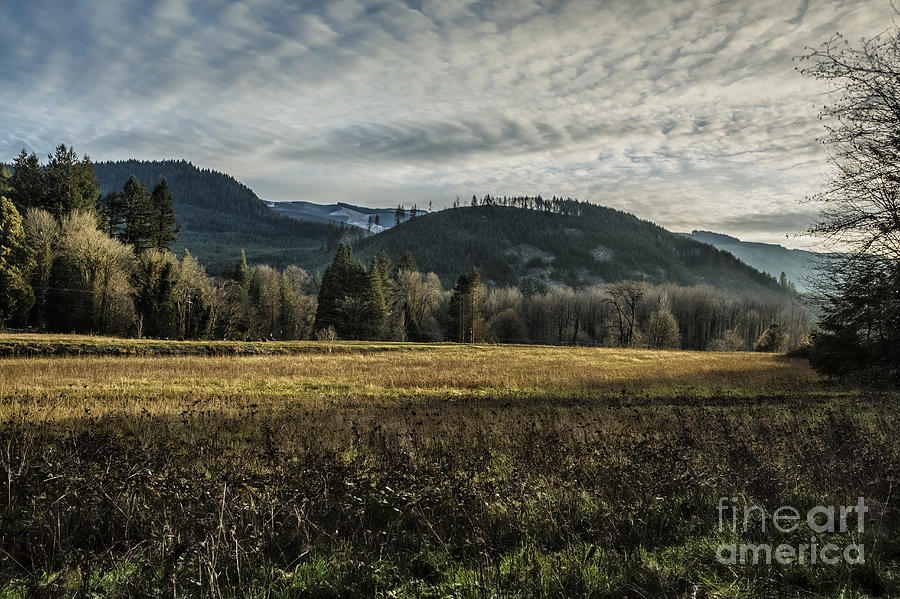 Sky - Field - Light and Trees - Some Here Some Gone Photograph by Belinda Greb
