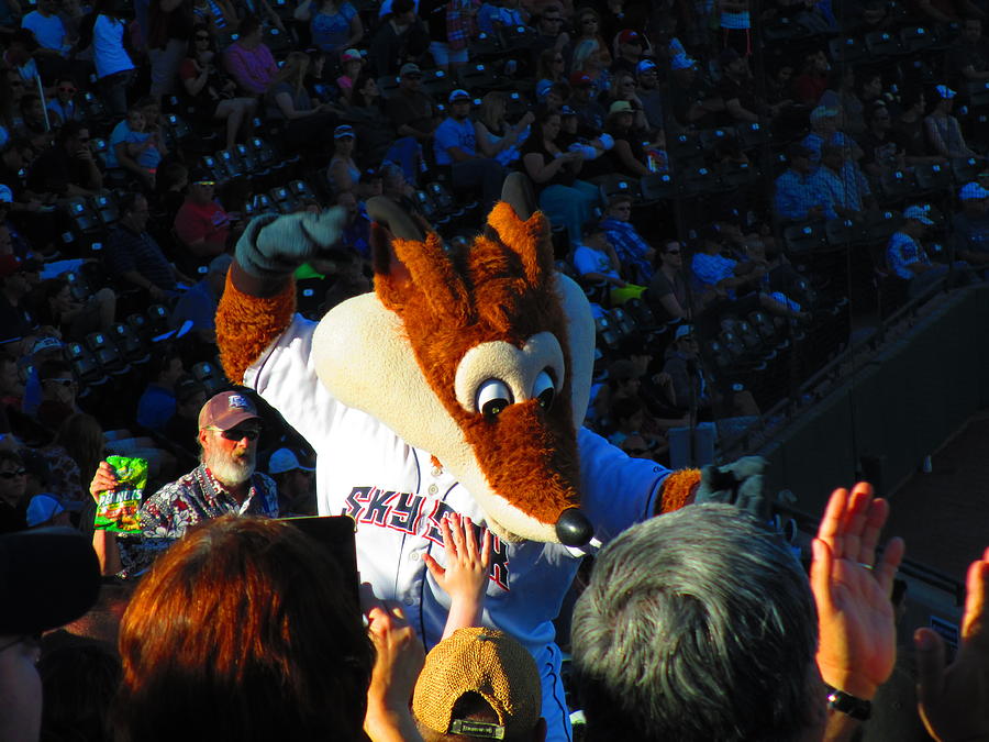 Sports Photograph - Sky Fox Mascot and Fans by Elaine Haakenson