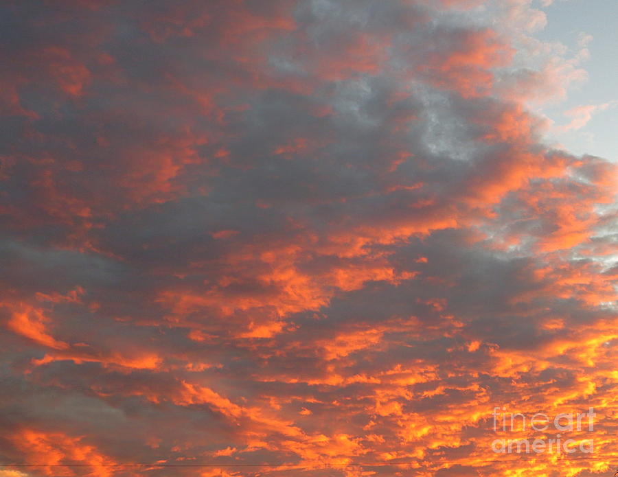 Sky Full of Fire. Photo taken in Ft. Myers Florida at Sunset. Photograph by Robert Birkenes