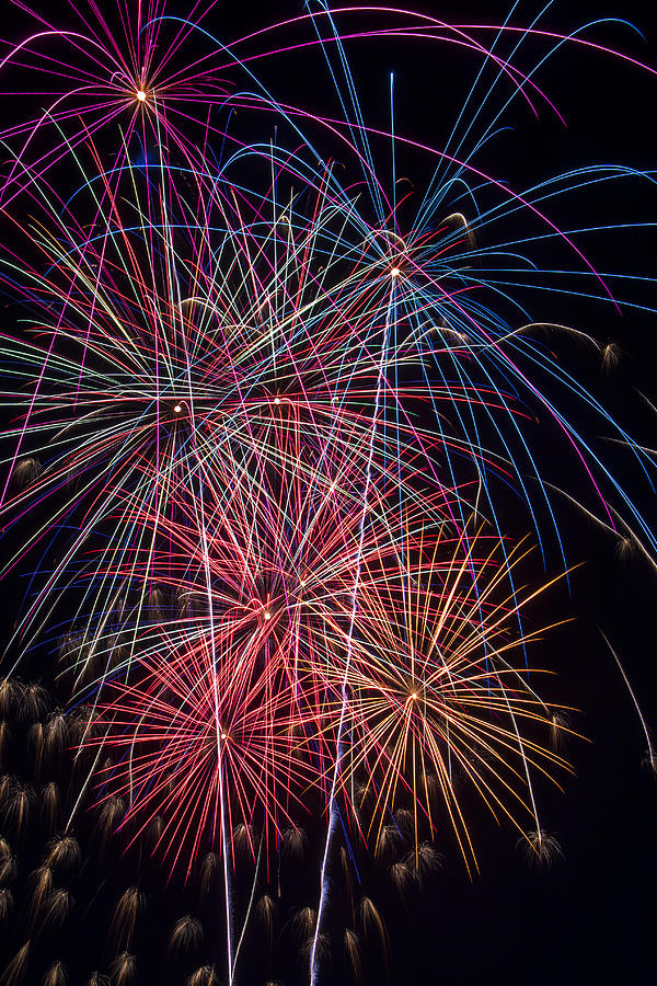 Independence Day Photograph - Sky Full Of Fireworks by Garry Gay
