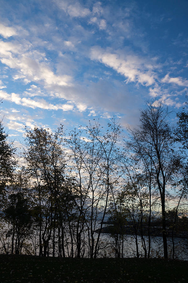Tree Photograph - Sky Glory Through the Screen of Trees by Georgia Mizuleva