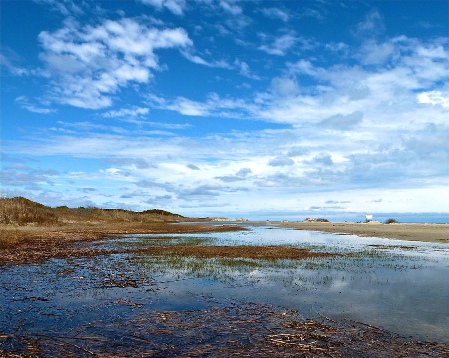 Sky in the Pool Photograph by Jean Wright - Fine Art America