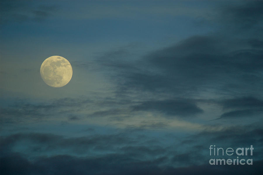 Sky Moon Photograph by Dale Powell