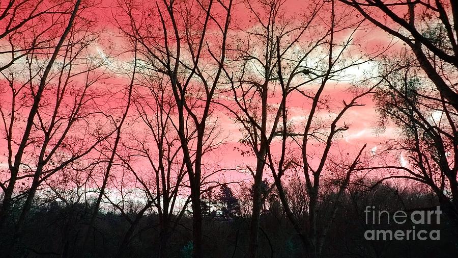 Nature Photograph - Sky Number Pink by Jennifer Churchman