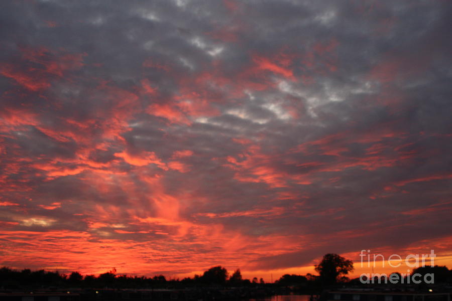 Sky of fire Photograph by Linsey Williams