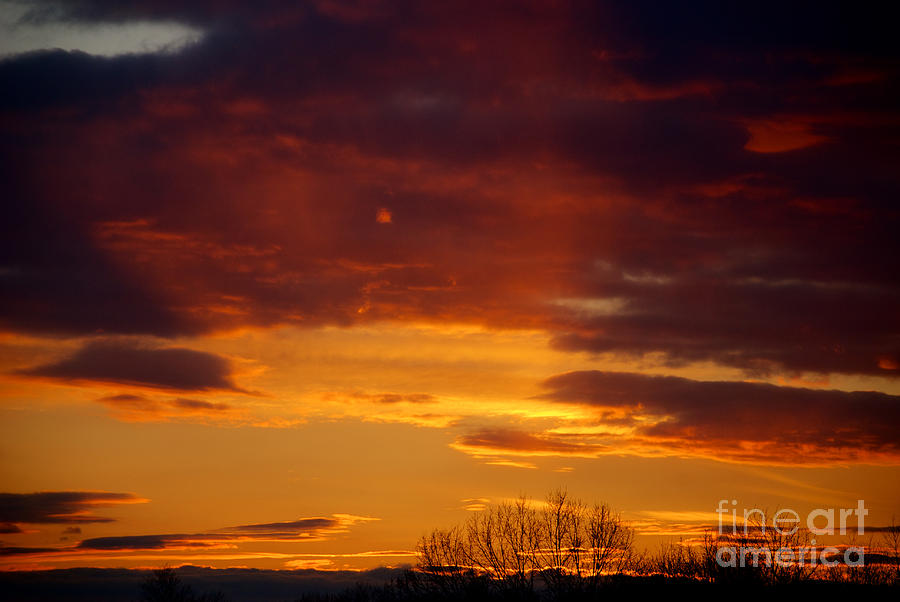Sky of Orange Photograph by Mark Dodd