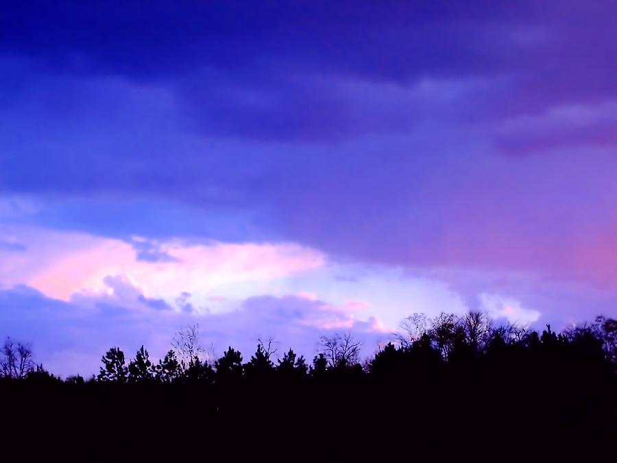 Sky of Purple Photograph by Morgan Carter
