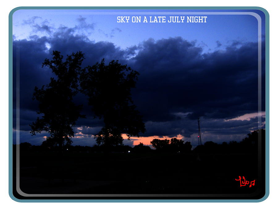 Tree Photograph - Sky On A Late July Night by Lele Pennington