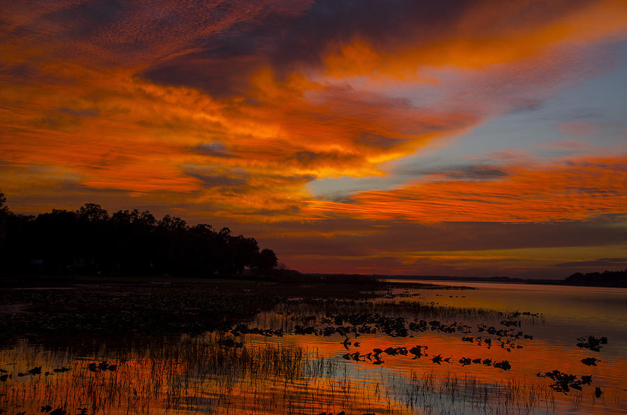 Sky on Fire Photograph by Dick Hudson