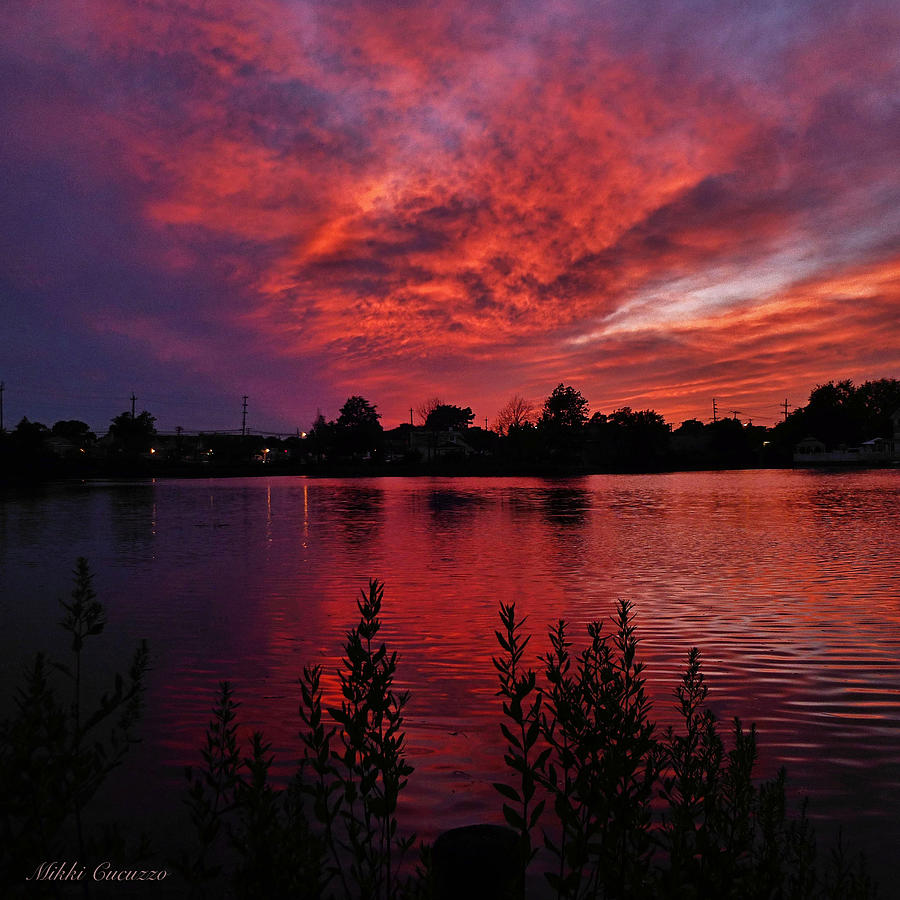 Sky on fire Photograph by Mikki Cucuzzo