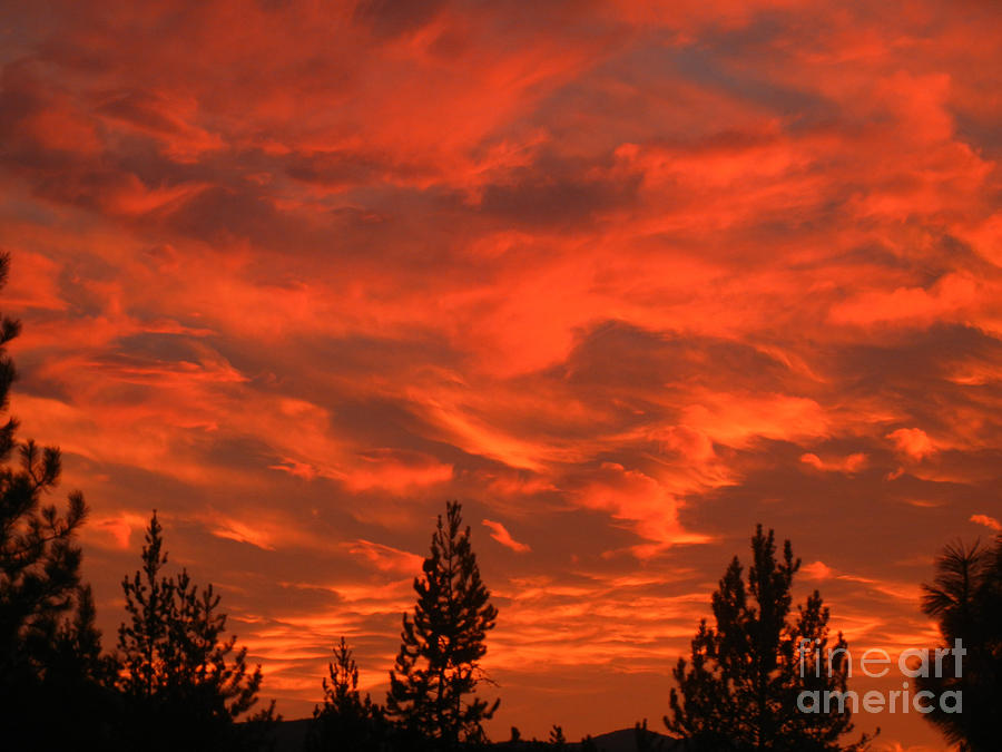 Sky on Fire Photograph by NightVisions