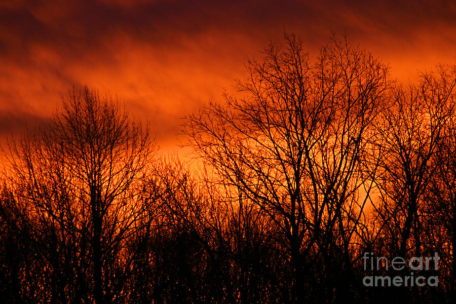 Sky on Fire Photograph by Stan Reckard