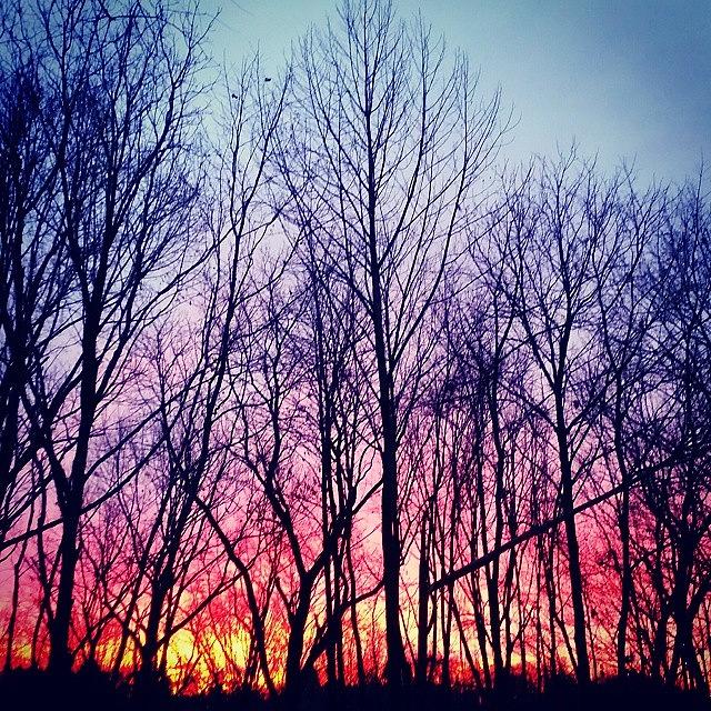 Sunset Photograph - Sky On Fire Tonight by Jill Tuinier Sunset Photograph - Sky On Fire Tonight by Jill Tuinier